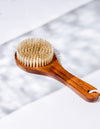 Body Brush - The Collective Global